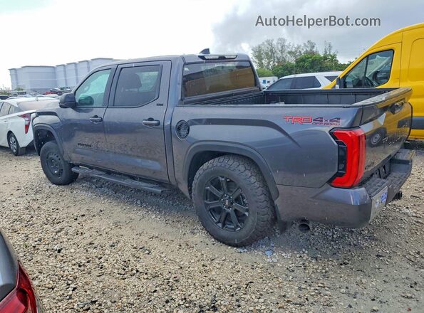 5TFLA5DB4NX014310 2022 TOYOTA TUNDRA Gray უკანა მარჯვენა
