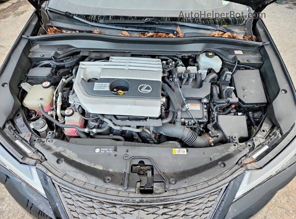 JTHU9JBH9K2009897 2019 LEXUS UX Black Vista del compartimento del motor