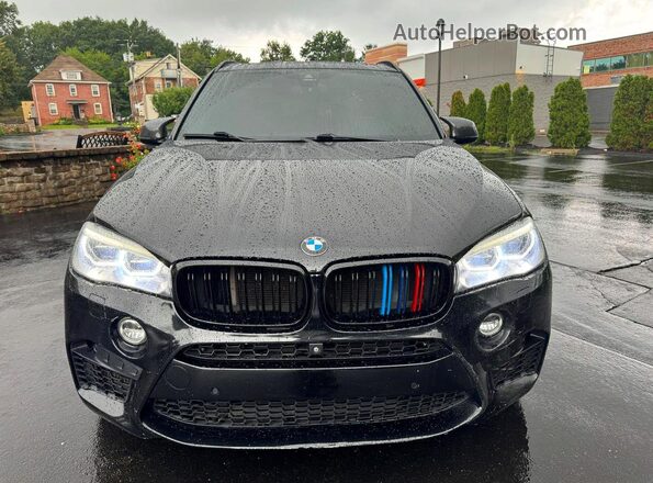 5YMKT6C52G0R79421 2016 BMW X5 Black Вид салону спереду