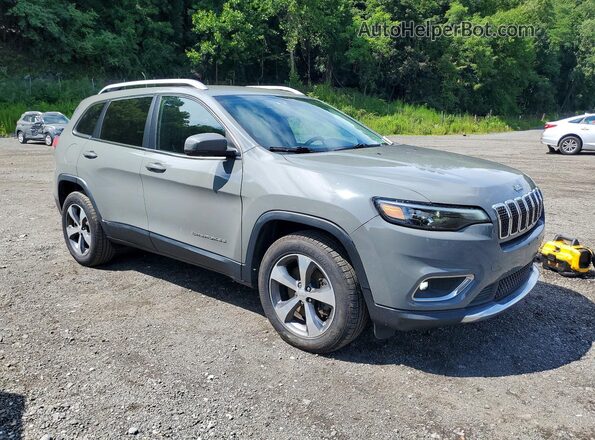1C4PJMDX1LD575232 2020 JEEP CHEROKEE Gray Вид спереду