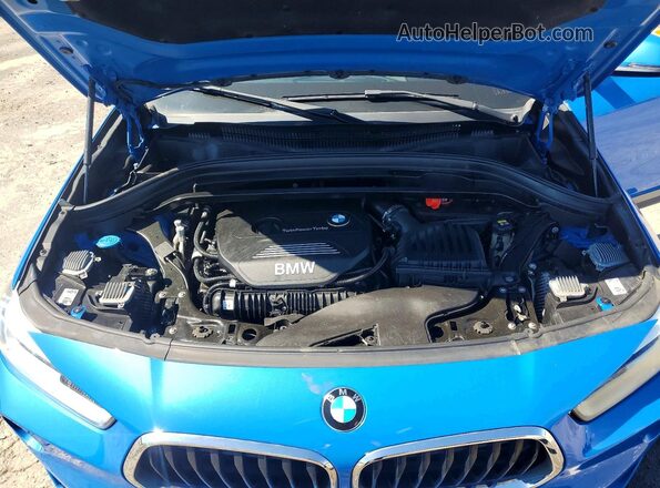 WBXYJ5C33JEF76534 2018 BMW X2 Blue Vista de la etiqueta del VIN