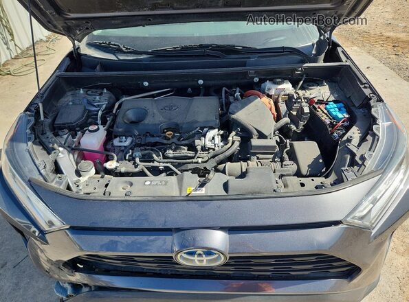 4T3RWRFV2MU039056 2021 TOYOTA RAV4 Gray Vista de la etiqueta del VIN