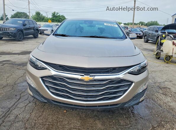 1G1ZD5ST6RF170981 2024 CHEVROLET MALIBU Gray Vista trasera