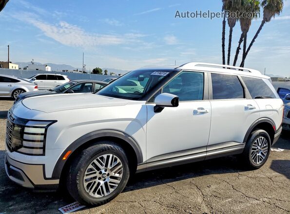 KM8RMES23TU043487 2026 HYUNDAI PALISADE White Tył lewy
