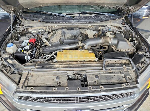 1FTEW1E46KFB21041 2019 FORD F150 Gray Շարժիչի բաժամունքի տեսք