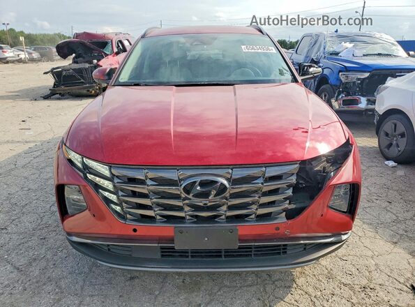5NMJBCDE3SH516703 2025 HYUNDAI TUCSON Red Հետևի տեսք