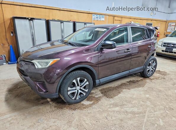 2T3BFREV0HW684975 2017 TOYOTA RAV4 Purple Rear left