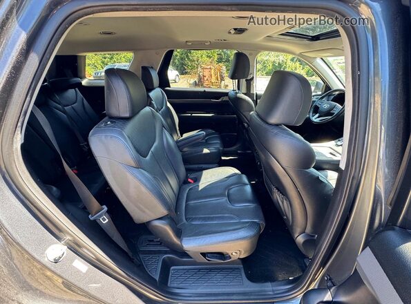 KM8R4DHE0LU066415 2020 HYUNDAI PALISADE Blue Vista interior delantera
