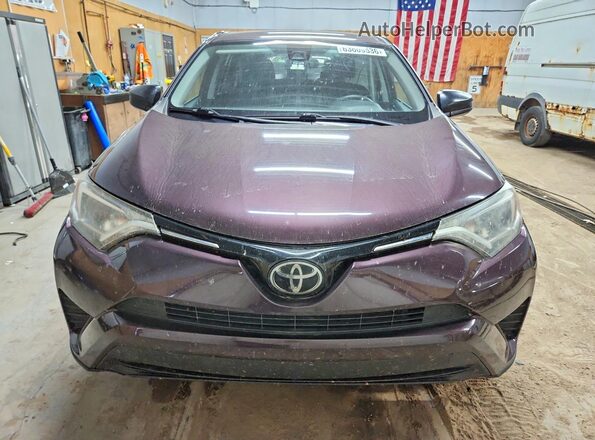 2T3BFREV0HW684975 2017 TOYOTA RAV4 Purple Rear view