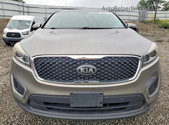 5XYPG4A30GG052730 2016 KIA SORENTO Brown უკანა ხედი