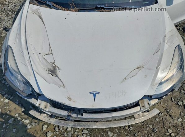 5YJ3E1EA7LF793311 2020 TESLA MODEL 3 White Շարժիչի բաժամունքի տեսք