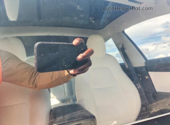 5YJ3E1EA7LF793311 2020 TESLA MODEL 3 White Հետևի նստատեղերի տեսք