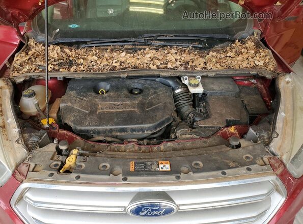 1FMCU0G98HUE72081 2017 FORD ESCAPE Red Вид підкапотного простору