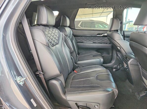 KM8R5DHE6LU142927 2020 HYUNDAI PALISADE Угольный Вид подкапотного пространства