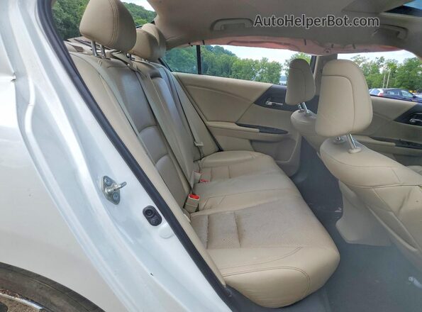 1HGCR3F96GA004974 2016 HONDA ACCORD Белый Вид задней части салона