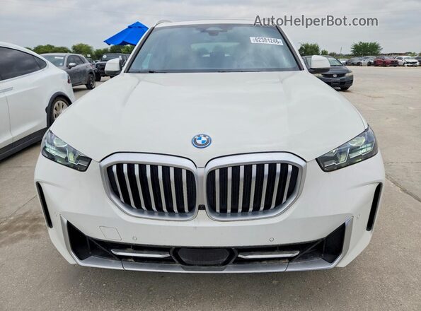 5UX43EU06S9X96024 2025 BMW X5 White Widok z tyłu