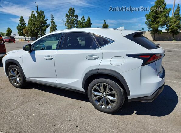 JTJYARBZ8G2029127 2016 LEXUS NX White Tył prawy
