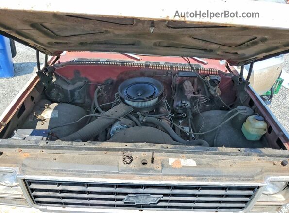 CCL146A134892 1976 CHEVROLET C10 Белый Вид задней части салона