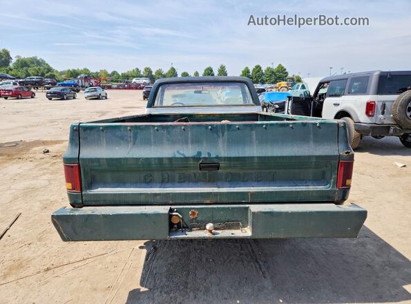CCL447S130880 1977 CHEVROLET OTHER Green უკანა ხედი