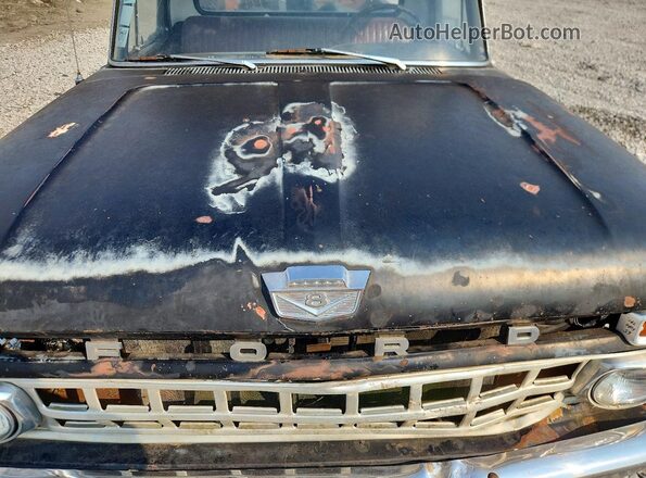 F10DK663027 1965 FORD F100 Черный Вид задней части салона