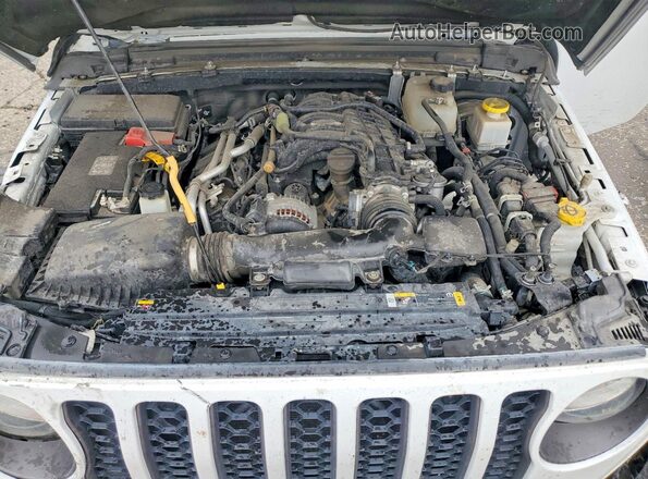1C6JJTEG5PL504410 2023 JEEP GLADIATOR White Սալոնի հետևի տեսք