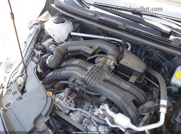 JF1GUABC8R8367443 2024 SUBARU IMPREZA White Widok z tyłu