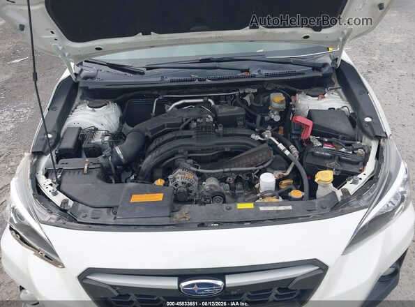 JF2GTADC8K8245344 2019 SUBARU CROSSTREK White Widok z tyłu