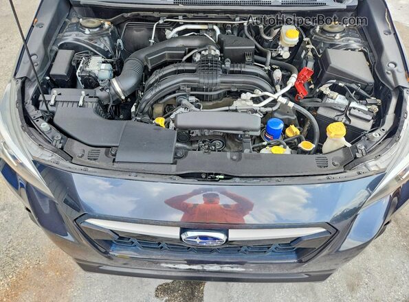 JF2GTAEC8K8279685 2019 SUBARU CROSSTREK Gray Engine compartment view