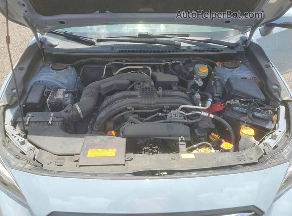 JF2GTAMC1K8228109 2019 SUBARU CROSSTREK Blue Սալոնի հետևի տեսք