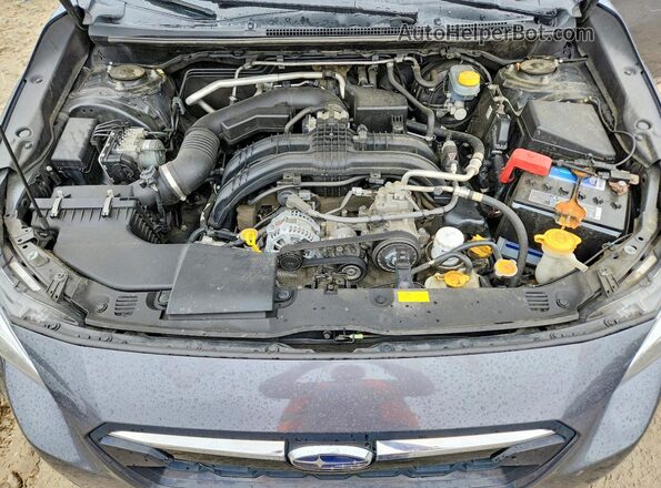 JF2GTANC1L8229700 2020 SUBARU CROSSTREK Gray Vista del compartimento del motor