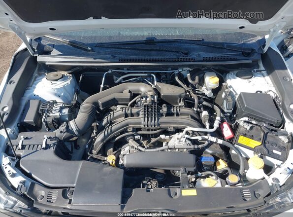 JF2GTANC2K8358172 2019 SUBARU CROSSTREK Белый Вид сзади
