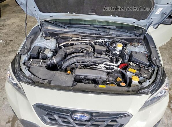JF2GTAPC4P8221349 2023 SUBARU CROSSTREK Tan უკანა სალონის ხედი