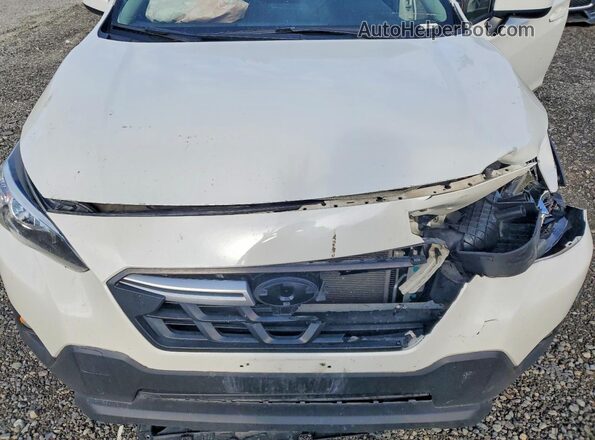 JF2GTAPC8M8250610 2021 SUBARU CROSSTREK White Սալոնի հետևի տեսք