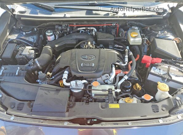 JF2GTDEC6LH283561 2020 SUBARU CROSSTREK Gray უკანა სალონის ხედი