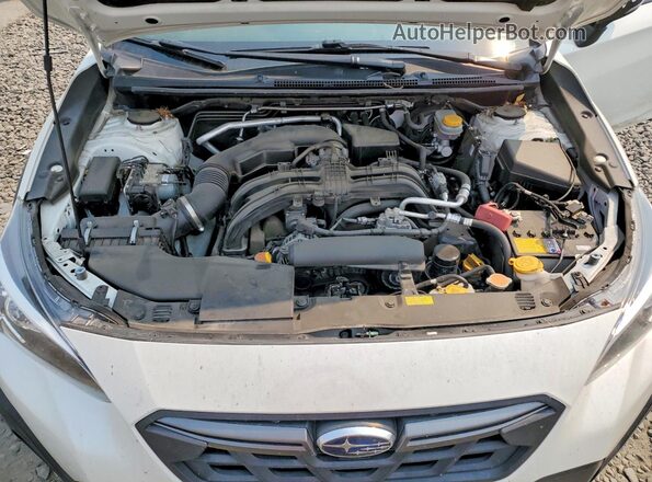 JF2GTHRC3MH266431 2021 SUBARU CROSSTREK Белый Вид задней части салона