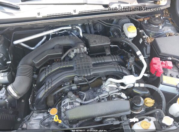 JF2GUABC9SH310119 2025 SUBARU CROSSTREK Gray Widok z tyłu
