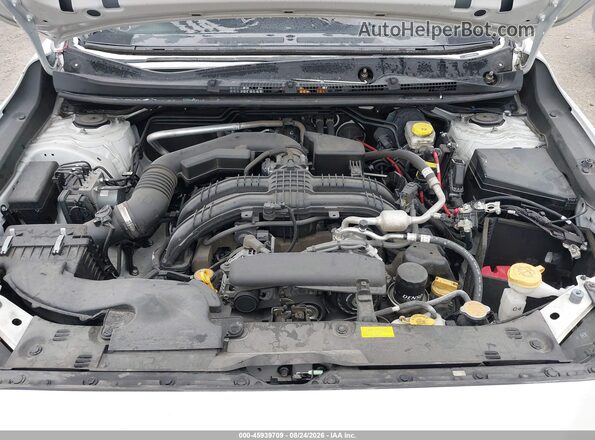 JF2GUADC2RH914148 2024 SUBARU CROSSTREK Белый Вид сзади