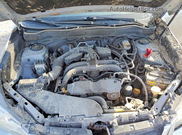 JF2SJAAC7JG443843 2018 SUBARU FORESTER Silver Սալոնի հետևի տեսք