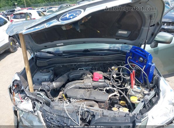 JF2SJADC3GH494612 2016 SUBARU FORESTER Green Vista trasera