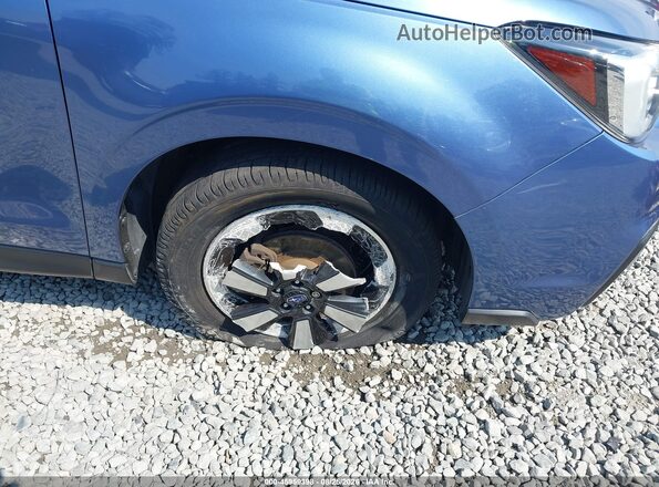 JF2SJAEC0JH515891 2018 SUBARU FORESTER Синий 