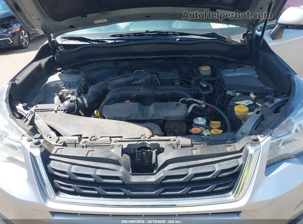 JF2SJAEC4HG505879 2017 SUBARU FORESTER Silver Widok z tyłu