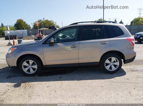 JF2SJAFC5GH456862 2016 SUBARU FORESTER Gold Սալոնի 360 աստիճան տեսք