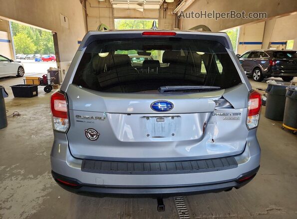 JF2SJAJC4HH523329 2017 SUBARU FORESTER Silver უკანა ხედი