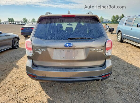 JF2SJEDC9HH574361 2017 SUBARU FORESTER Brown Vista trasera