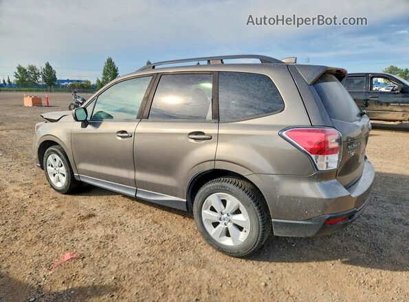 JF2SJEDC9HH574361 2017 SUBARU FORESTER Brown Trasero izquierdo