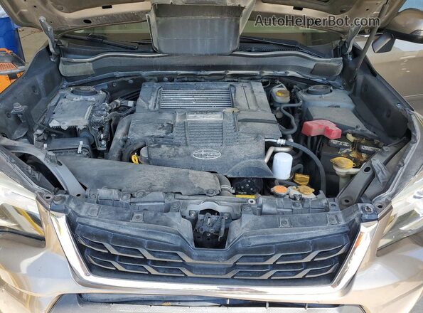 JF2SJGTC4HH555729 2017 SUBARU FORESTER Brown Vista del compartimento del motor