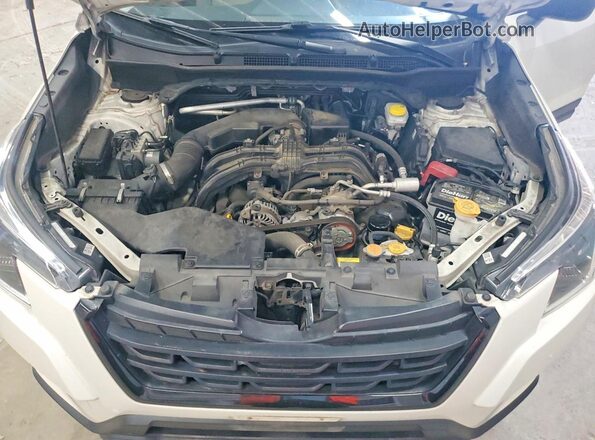JF2SKAAC5PH466201 2023 SUBARU FORESTER White Vista del compartimento del motor