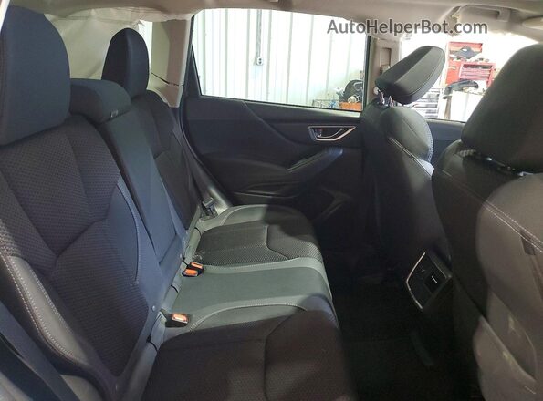 JF2SKADC8PH513359 2023 SUBARU FORESTER Серебряный Вид задней части салона