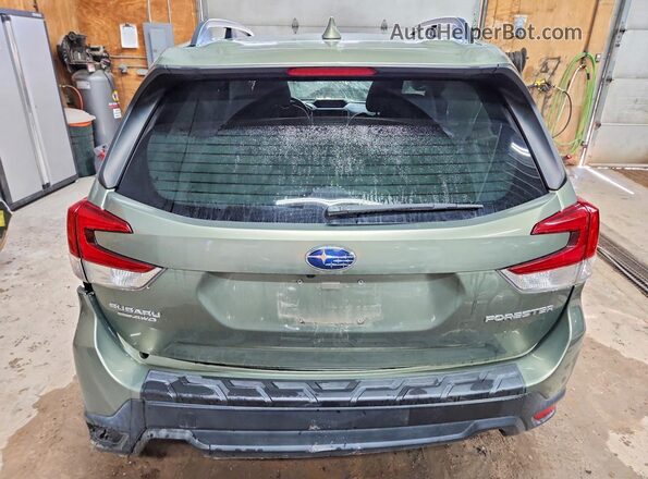 JF2SKAJC5LH529520 2020 SUBARU FORESTER Green Vista trasera