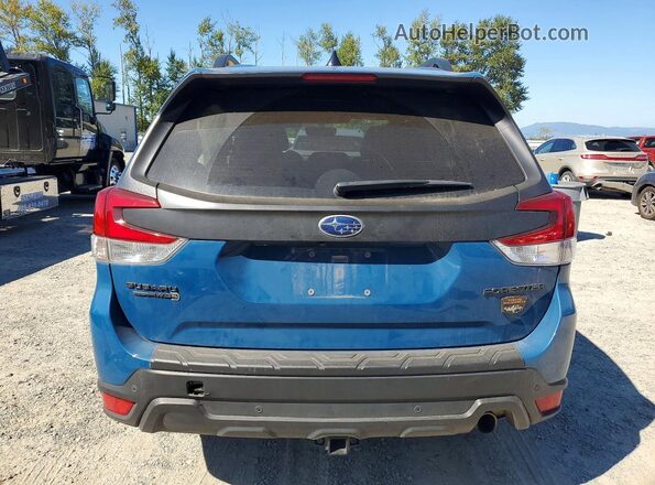 JF2SKAJCXRH527562 2024 SUBARU FORESTER Blue უკანა ხედი